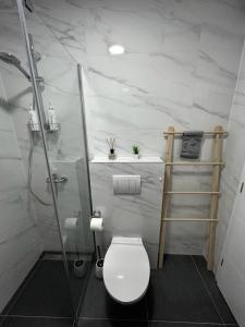 ein Bad mit einem WC und einer Glasdusche in der Unterkunft Hello Sunshine in Zadar