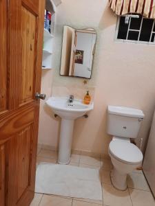a bathroom with a toilet and a sink at Joyville in Bridgetown