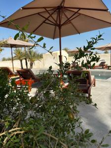 an umbrella and chairs next to a swimming pool at Domaine sultana in Awlād ‘Umar
