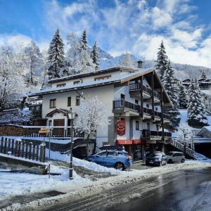 Hotel Meublè Meridiana v zimě