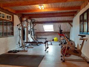 Spordikeskus ja/või sportimisvõimalused majutusasutuses De Patuljak
