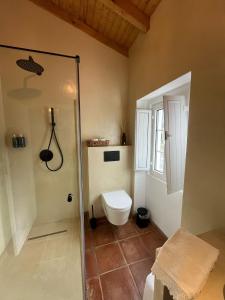 een badkamer met een douche en een toilet. bij Casa do Ti'Xico in Aljustrel