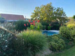a garden with flowers and a swimming pool at DobrýBydlo in Dolní Věstonice