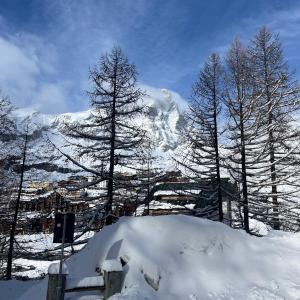 una pila de nieve en una montaña con árboles en appartamento Cervinia fronte Funivie CIR 0480, en Breuil-Cervinia