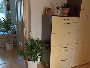 uma cómoda com dois vasos de plantas num quarto em Holiday apartment coffee mill em Dresden