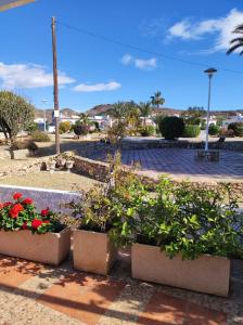 a garden with flowers and plants in pots at Villa stamalmar in Villaricos