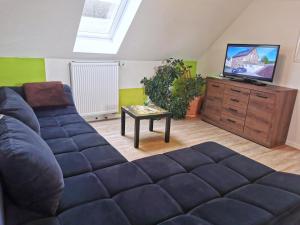 ein Wohnzimmer mit Sofa und Fernseher in der Unterkunft Speedys Apartments am Brünnchen in Herresbach