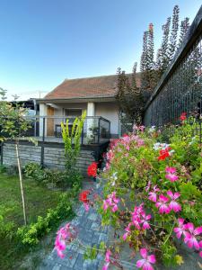 a garden with pink flowers in front of a house at DobrýBydlo in Dolní Věstonice