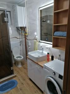 a bathroom with a sink and a washing machine at Apartman Dalmacija in Ečka