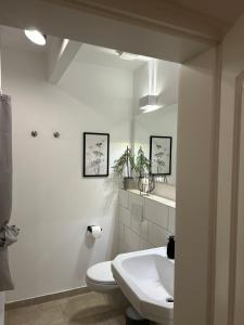 a white bathroom with a toilet and a sink at Weberhof Apartment 3 in Münster
