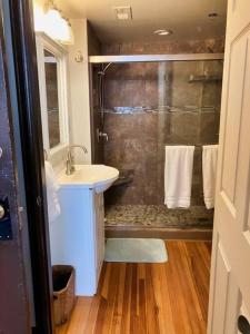 een badkamer met een douche en een wastafel bij Pet Friendly Gorgeous Downtown Loft Pueblo in Pueblo