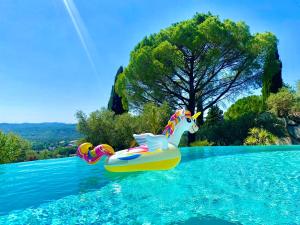 un unicornio flotando en el agua en una piscina en Les Lodges de Saint-Cassien 3, en Montauroux 28 fotos más