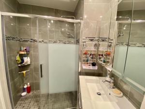 een badkamer met een douche, een wastafel en een douche bij Superbe appartement lumineux in Neuilly-sur-Seine