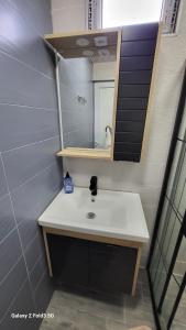 VILLA GANTIADI في باتومي: حمام مع حوض ومرآة