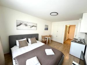 1 dormitorio con 1 cama grande y cocina en Cosy Studio in Zurich City, en Zúrich