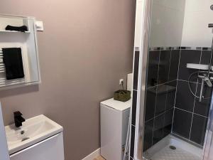 uma casa de banho com um chuveiro, um WC e um lavatório. em « Le City » proche aéroport CDG, Parc Astérix, Disney, em Dammartin-en-Goële