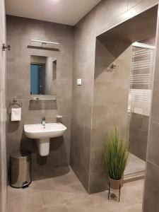 a bathroom with a sink and a shower at Erdővarázs Panzió in Lillafüred