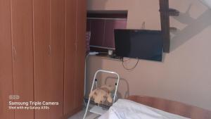 - une chambre à l'hôpital avec un lit et une télévision dans l'établissement Fly, à Dobanovci