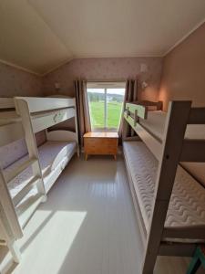 a room with three bunk beds and a window at Arctic Cabin Lyngen in Svensby