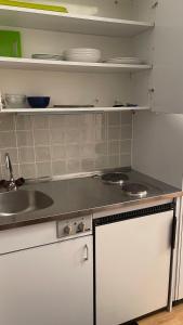 a kitchen with a sink and a counter top at Studio ensoleillé avec vue sur le lac in Lausanne