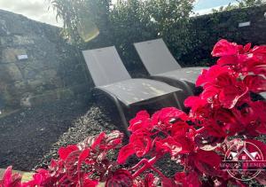 un grupo de sillas y flores rojas en un patio en Azores Element, en Livramento
