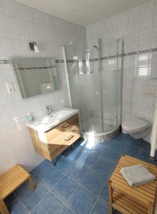 a bathroom with a sink and a shower and a toilet at Ferienwohnung-2-in-der-Altstadt-Fam-Harder in Sassnitz