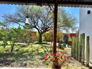 a garden with a tree and a fence with flowers at Mesquite Tree Retreat in San Miguel de Allende