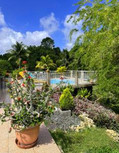 un jardin fleuri avec un pont et une piscine dans l'établissement La Villa Ixora, magnifique Villa avec Piscine, à Les Abymes