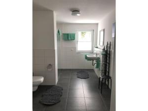 uma casa de banho com um WC, um lavatório e uma janela em Holiday apartment meadow em Sulzburg