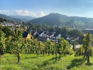 uma fileira de árvores num campo com uma cidade ao fundo em Holiday apartment meadow em Sulzburg