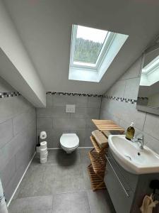a bathroom with a toilet and a sink and a window at Maison chaleureuse avec cheminée bord de rivière in Gérardmer