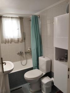 a bathroom with a toilet and a shower and a sink at Marilena's Apartment in Rafina