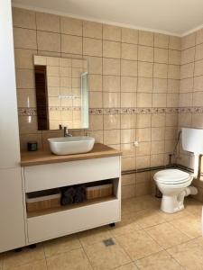 a bathroom with a sink and a toilet at Panoramic House in Mărişel