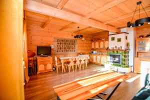 Et tv og/eller underholdning på Apartament 33 Poronin