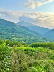 uma vista para um vale com montanhas ao fundo em Persati View em Kutaisi
