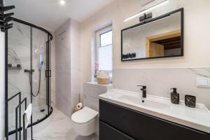 a bathroom with a sink and a shower and a toilet at Karkonoskie Zacisze in Mysłakowice +3 photos