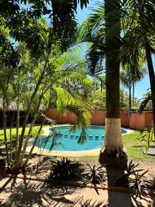 a swimming pool with palm trees in the foreground at Hotel Costa Mar in Troncones