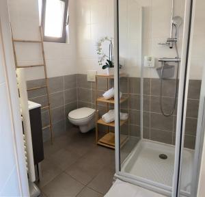 bagno con doccia e servizi igienici. di Les Terrasses D'Aix - Studio avec Grande Terrasse privée ad Aix en Provence