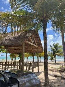 a car parked next to a beach with palm trees at Flat Beira-Mar Maragogi in Maragogi