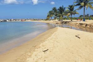 a sandy beach with palm trees and the ocean at Sweet Sunset II- Rompeolas Beach in Aguadilla