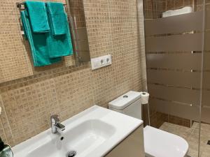 a bathroom with a sink and a toilet and a mirror at Apartamento de Pascualin con jardin privado in A Coruña