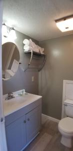 ein Badezimmer mit einem Waschbecken, einem Spiegel und einem WC in der Unterkunft The anchor hotel in Myrtle Beach