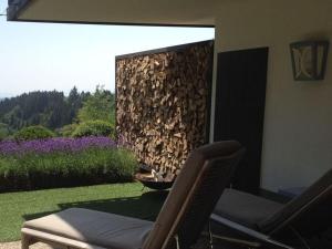 a fire pit in a yard with two chairs at Apartment Mini Suite in Höchenschwand