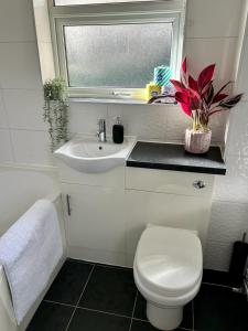 a bathroom with a toilet and a sink and a window at Stylish 3 Bed House Hitchin in Hitchin