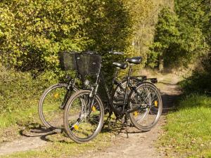 two bikes parked next to each other on a trail at Holiday apartment Trulich Hoff 