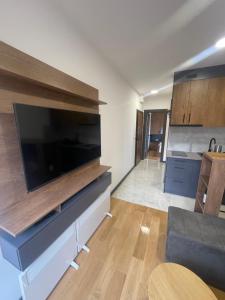 a living room with a large flat screen tv at Jutarnja Zvezda Kop in Kopaonik