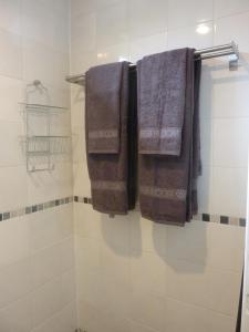 ein Badezimmer mit drei Handtüchern auf einem Kleiderständer in der Unterkunft B&B BLoom in Amsterdam