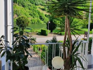 a view of a garden from a balcony with a palm tree at Holiday apartment Lenz in Kröv +4 photos