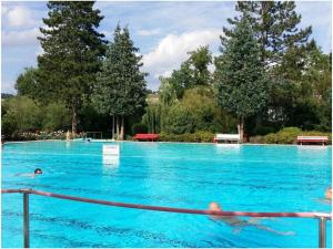 ein Pool mit blauem Wasser, in dem Menschen schwimmen in der Unterkunft Penthouse Tauberblick Terrace in Tauberbischofsheim