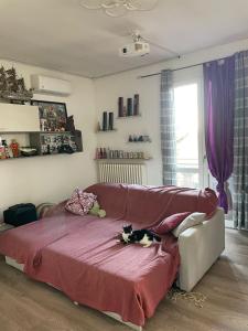 un gato acostado en una cama en una habitación en Affittacamere Braciolina, en Quattro Castella